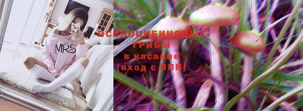 хмурый Алексеевка