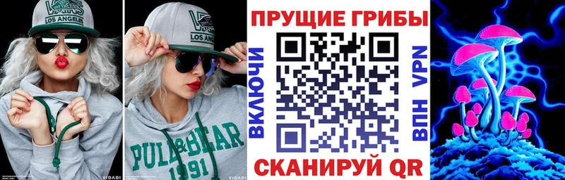 Галлюциногенные грибы прущие грибы  Ликино-Дулёво 